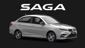 Model White Text SAGA
